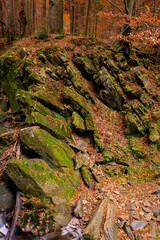 Szepit waterfall on the Hylaty stream © Leszek Szelest