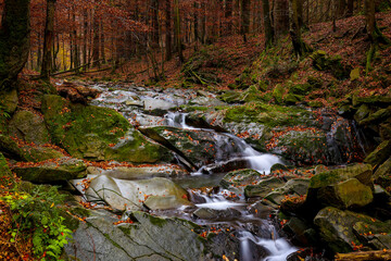 Szepit waterfall on the Hylaty stream - obrazy, fototapety, plakaty