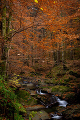 Szepit waterfall on the Hylaty stream. Autumn in the Bieszczady Mountains against the background of...