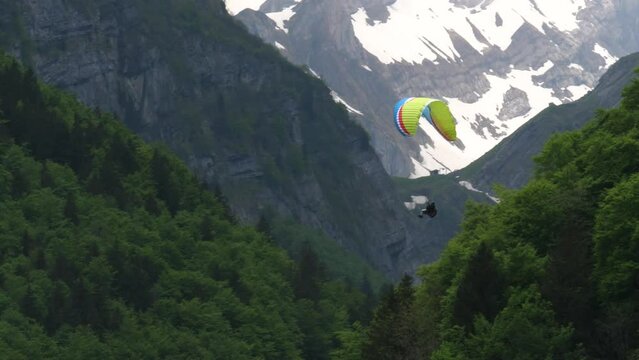 Paragliding over a forest in the mountains