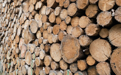 Stack of felled tree trunks, natural wooden background