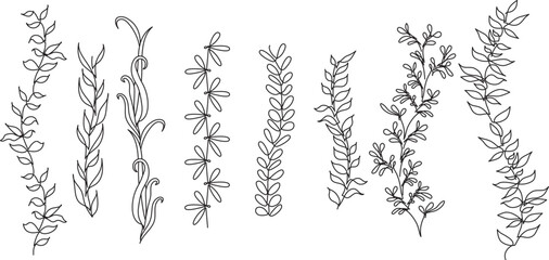 a set of plants for frames and greeting cards