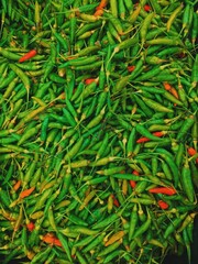 thai green chilli