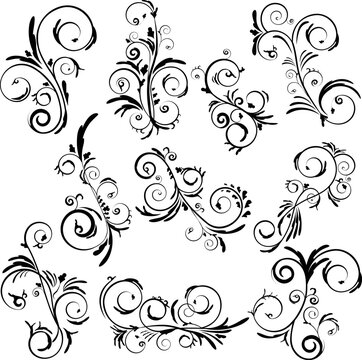 Abstract elegant curly set. Swirl beautiful floral vector collection. Decorative leaves and wavys. 