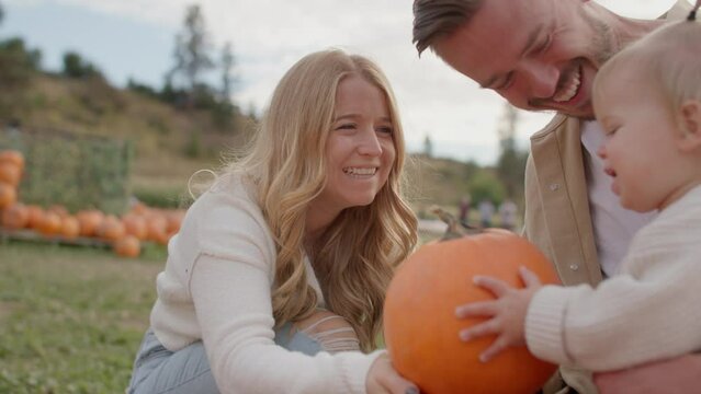 Close up of mom handing pumpkin to toddler, young family at pumpkin patch