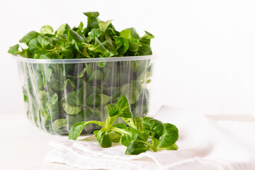 Feldsalalt in Plastikschale