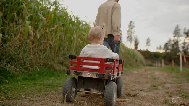 Toddler being pulled in wagon next to cornfield
