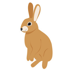 cute rabbit hare isolated vector