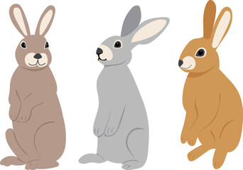 cute rabbits hares isolated vector