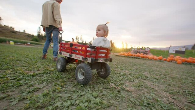 Family at pumpkin patch, father pulling daughter in wagon