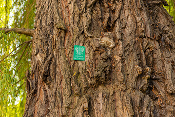 natural monument sign in tree in Poland
