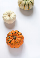 Different colorful pumpkins on the white background. Halloween or Thanksgiving concept close up	