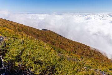 秋の富士山宝永山から眼下に広がる雲海と紅葉