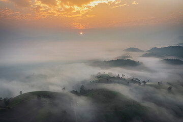 THE TEA PLANTATIONS BACKGROUND , TEA PLANTATIONS IN MORNING LIGHT. LONG CO, PHU THO, VIETNAM