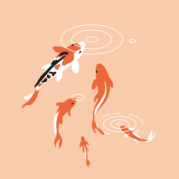 orange koi fish swimming in pond clip art preview