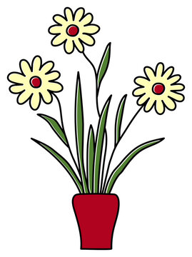 Potted gerbera or chamomile sketch. Indoor flower in a pot. Color illustration of a plant