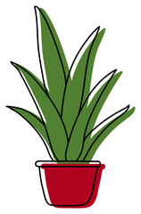 Indoor Scarlet Potted Sketch. Flower in a pot. Color illustration of a plant. Drawing