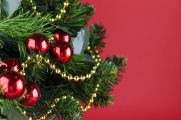 Christmas tree close-up, spruce branches with red balls 