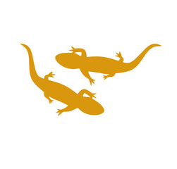 salamander icon. Trendy flat vector salamander icon on white background from animals collection, vector illustration can be use for web and mobile, 