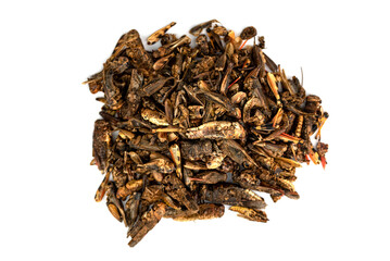 The dried Grasshopper - pet food