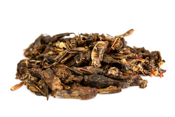 The dried Grasshopper - pet food