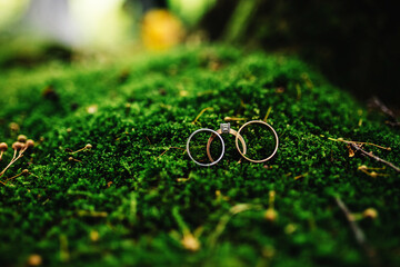Macro Photograph of Wedding and Engagement Rings sitting on top of Moss. wedding rings on moss. - Powered by Adobe