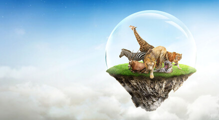 Concept Nature reserve conserve Wildlife reserve tiger Giraffe Global warming Ecology, fantasy island with wild animals floating in the sky. protecting the wild and wild animals tigers, lion on island