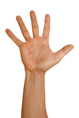 Gesture series: hand shows five fingers.
