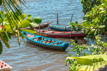 barcos Barreinhas