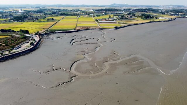 a sea of mud flats