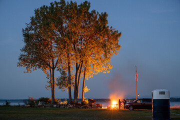 Tall trees near a campfire at dusk