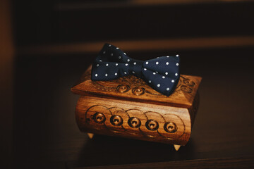 Blue male butterfly on a black background.