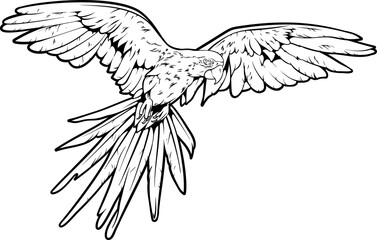 Uncolored blank realistic illustration of a flying ara parrot line art isolated on white background for coloring with children in class or kids art lessons