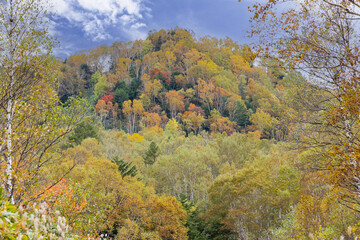 Fototapeta premium 秋の高原の風景 志賀高原の紅葉