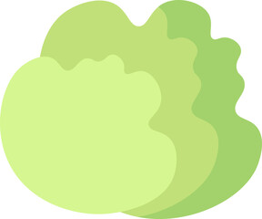 Hand drawn lettuce Food icon. Vector illustration
