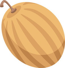 Hand drawn melon Food icon. Vector illustration