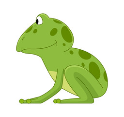 Cartoon frogs Funny cartoon frog. Little amphibia character standing and smiling on white background. Adorable froggy watching