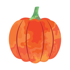 pumpkin vegetable icon