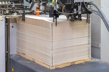 Paper Suction Print Machine