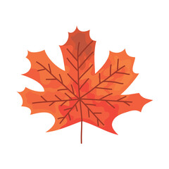 Naklejka premium maple leaf icon