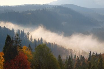 Magical sunrise in a mountain valley in autumn scenery. Flowing mists lit by the sun. Tatry mountains on horizon. Around Poronin, Podkarpacie, Poland