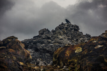 Cloudy scary day with a crow sitting on top of the rocks, mysterious atmosphere