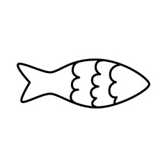 Vector doodle hand drawn illustration of a fish