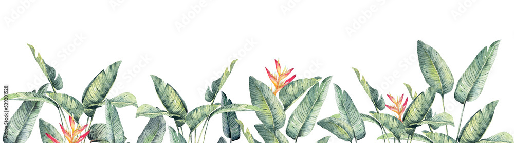 Wall mural Tropical leaves background.Frame Bird of Paradise with watercolor.Branches and leaves of tropical plants with space for text.Botanical background and wallpaper.