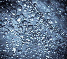 
drops of water. much up close. blue