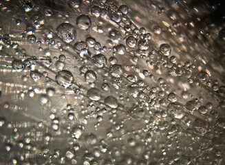 
drops of water. much up close