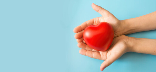 children's hands holding a red rubber heart on a blue background, copyspace banner on the left. baby love, save a child's life, heart diseases. healthy baby heart