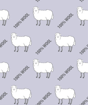 Sheep pattern. White sheeps and writing on lilac background