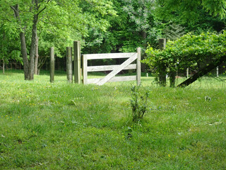 Fence gate in a field