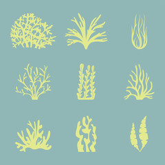 A set of seaweed marine plants and corals © Ольга Бошарова